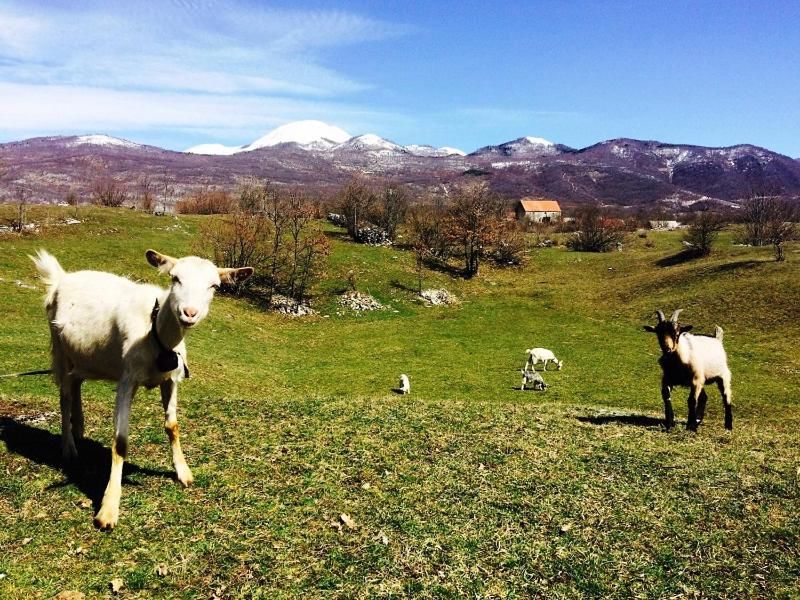 Кемпинги Seoska koliba Jasenovo Polje-5