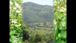 Кемпинги Seoska koliba Jasenovo Polje-0