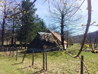 Кемпинги Seoska koliba Jasenovo Polje-2