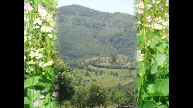 Кемпинги Seoska koliba Jasenovo Polje-3